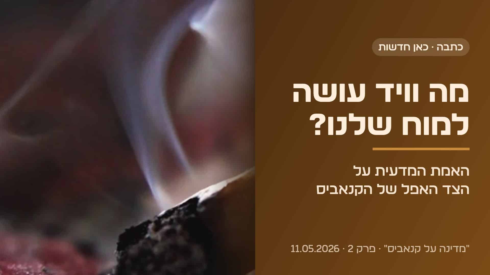 מה וויד עושה למוח שלנו? האמת המדעית על הצד האפל של הקנאביס – כתבה בכאן חדשות